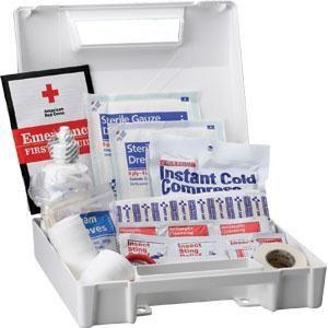 ANSI 25-Person, 105-Piece Bulk First Aid Kit (Plastic)